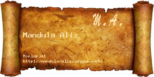 Mandula Aliz névjegykártya