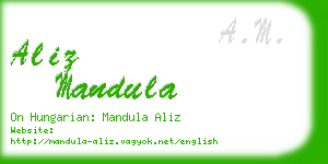 aliz mandula business card